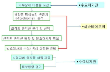 수요처 기업 시행 개인 맞춤형 화장품 모델 개발 및 적합성 조사 모식도