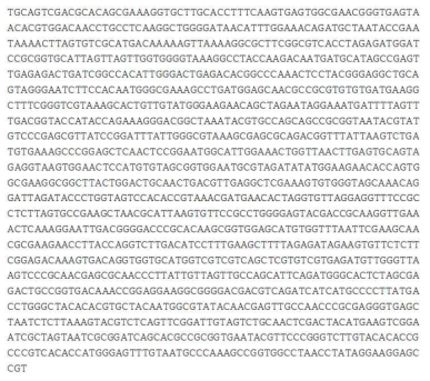 류코노스톡 메센테로이데스 SBC-4401의 16S rRNA 염기서열