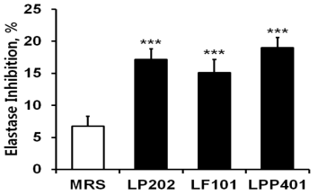 Inhibitory effects of the three supernatants (LP202, LF101, LPP401) on elastase activity. MRS broth (MRS) is the liquid medium used for the bacterial growth. N-Succinyl-Ala-Ala-Ala-p-nitroanilide was used as a chromogenic substrate of elastase. The data represent the percentage of elastase activity inhibition. For the more reasonable comparison, the experimental values were normalized to those obtained with the Lactobacillus cells grown up to an absorbance of 8.0 at OD600.***,p < 0.001 vs MRS