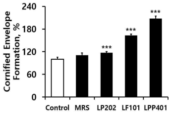 Augmenting effects of the three supernatants (LP202, LF101, LPP401) on the formation of cornified envelope in HaCaT keratinocytes. MRS broth (MRS) is the liquid medium used for the bacterial growth. The percentage of cornified envelope formation was calculated by considering the control value as 100. For the more reasonable comparison, the experimental values were normalized to those obtained with the Lactobacillus cells grown up to an absorbance of 8.0 at OD600.***,p < 0.001 vs MRS