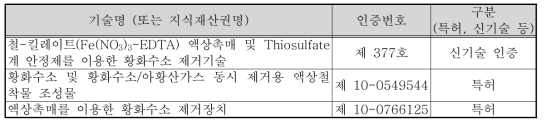 본 기술/제품과 관련 있는 수행기관이 보유한 지식재산권, 표준화, 인증기준 현황