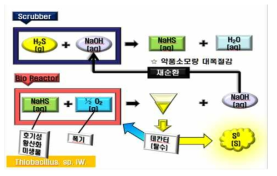 미생물을 이용한 바이오 Redox-cycle 탈황 공정도