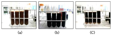 P.E.G 첨가 후 침전 실험 결과 ((a) : 교반 후 촉매, (b) : 여과 후 액상촉매, (C) : P.E.G 주입 후 액상촉매)