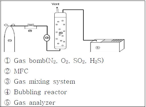 Lab scale 실험장치의 개략도