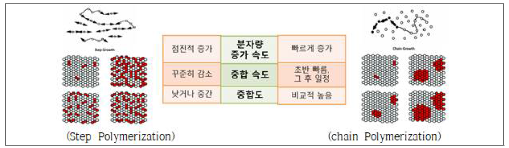 단계 중합 및 사슬 중합 시스템 비교