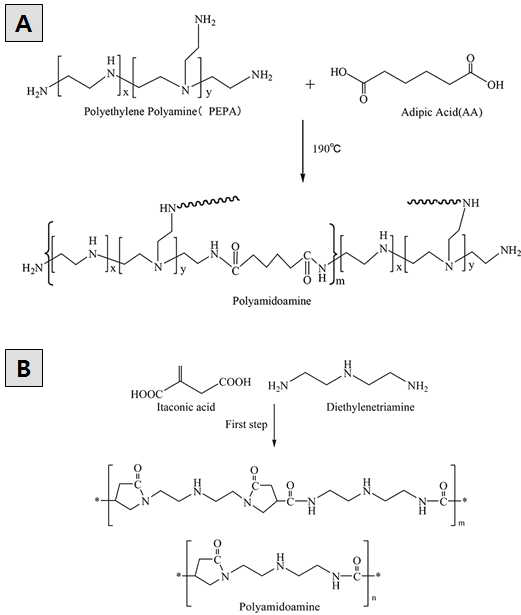 PA (Polyaminoamine) 중합 메카니즘(참고 Chapter 7 Research Progress on Formaldehyde‐Free Wood Adhesive Derived from SoyFlour, DOI: 10.5772/65502)