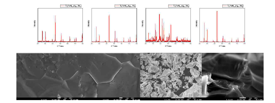 Ti2FeNi0.9Ag0.1Sb2의 SEM 이미지