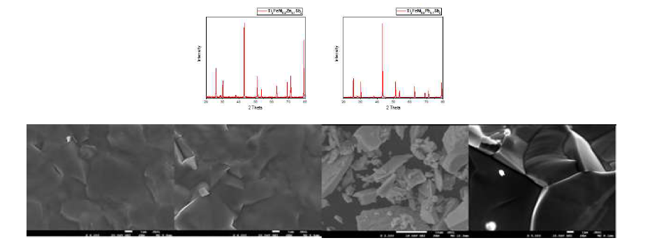 Ti2FeNi0.9Pb0.1Sb2의 SEM 이미지