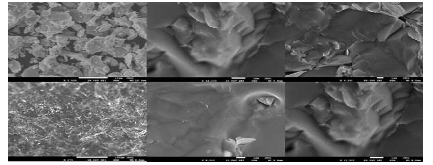 Ti2FeNi0.9Zn0.1Sb2의 SEM 이미지