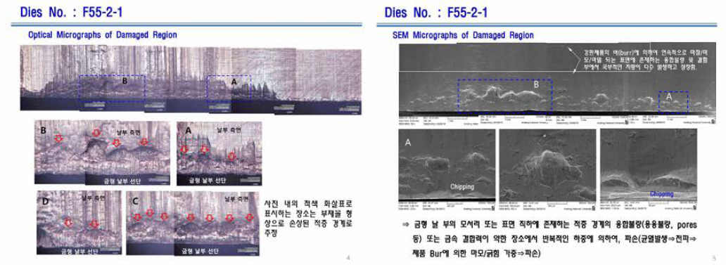 1차 전단금형 내구손상 분석: 날부 OM 및 SEM 사진의 예