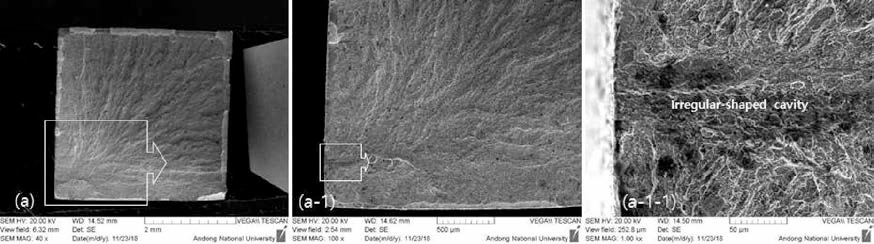 인장시험편 파면 SEM 관찰결과(F55T-ZZ-1)