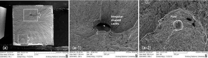 인장시험편 파면 SEM 관찰결과(F55T-SP-1)