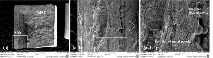 접합강도 시험편 파면 SEM 관찰결과(F55B-ZZ-2)
