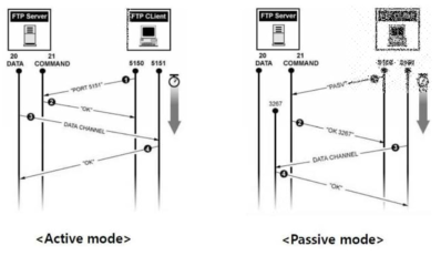 FTP의 동작 과정 및 접속 설정의 예