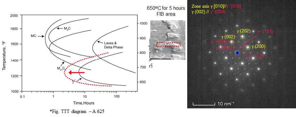 650℃ 5hr 열처리 후 γ＂미세석출물 형성