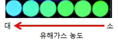 유해가스의 농도에 따른 형광세라믹 발광특성 변화