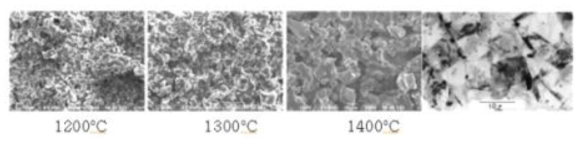 (좌)결정화되지 않은 저열팽창소재의 소성온도에 따른 변화 (우) 결정화된 beta-Spodumene계 소재의 미세구조