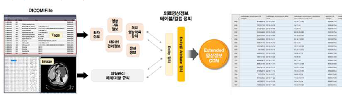 의료영상 확장모델 개발 플로우