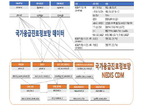 NEDIS 확장모델 데이터 매핑 개요도