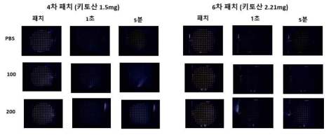 패치 하단 Black 배경으로 glucose 용액과 접촉 후 시간대별로 촬영한 이미지. 키토산 1.5mg 패치 사용 데이터(좌), 키토산 2.21mg 패치 사용 데이터(우)