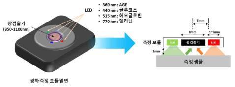 흡광도 측정 데이터 기반 μLED 광원 선정 및 광학 측정 모듈 설계