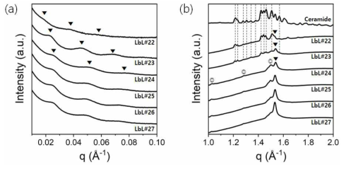 고급지방알코올 함량별 고함량 세라마이드 L-b-L 제형의 (a) SAXS 및 (b) WAXS 데이터