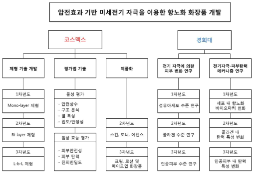 과제 기술 모식도