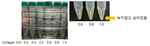 콜라겐 함량의 정량적 분석을 위해 Acetic acid에 콜라겐을 녹인 외관 콜라겐 농도를 0.2 ~ 1.0까지 증가시키면서 용해 정도를 확인함