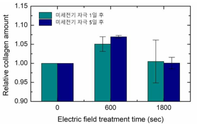 전기장 자극에 의한 인공피부 조직내 콜라겐 함량의 상대적 변화량