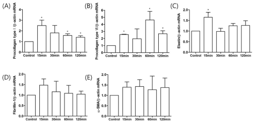 전기장 처리 시간에 따른 탄성관련 유전자 발현 (A) Procollagen typeⅠ(B) Procollagen type Ⅶ (C) Elastin (D) Fibrillin (E) α-smooth muscle actin