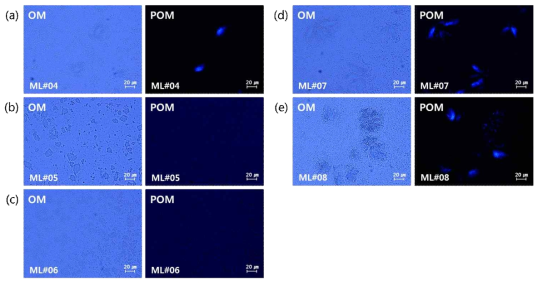 Mono-layer 제형의 현미경 이미지: (a) ML#04 (b) ML#05 (c) ML#06 (d) ML#07 (e) ML#08