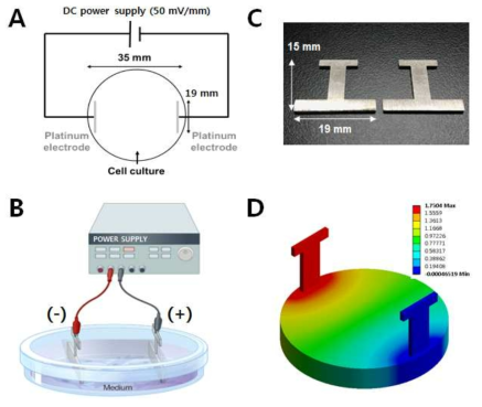 (A, B) 전기장 형성 시스템 개략도 및 (C) 백금 전극 (D) 전기장 형성 시뮬레이션 결과