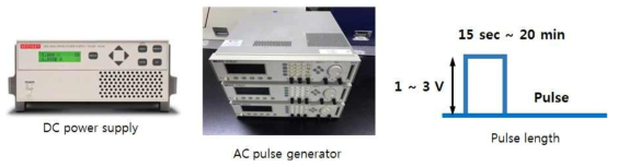 전기장 발생 장치 및 펄스 생성 조건