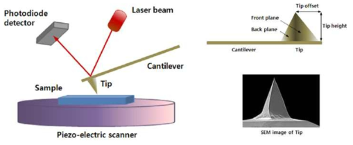원자현미경 측정원리(좌) 및 켄틸레버와 팁의 개략도(우)
