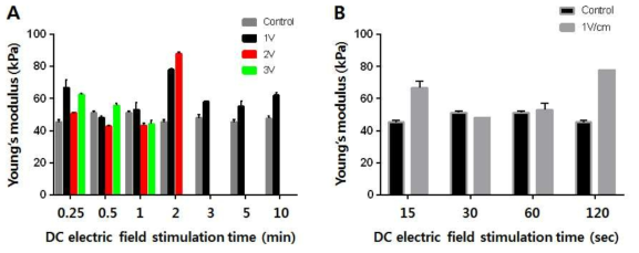전기자극 조건에 따른 세포 탄성의 변화: (A) 전기장의 세기 및 자극 시간에 다른 세포 탄성 변화 (B) 1 V/㎝의 전기자극의 자극 시간에 따른 세포 탄성의 변화