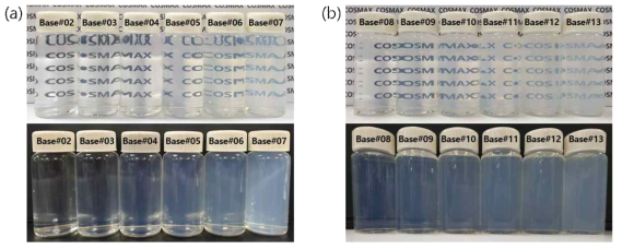 (a) 레시틴 및 (b) 지방산 함량에 따른 Base 타입 Bi-layer 제형의 외관 사진