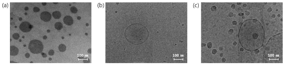 (a) Mono-layer (b) Base#07 (c) Base#11 제형의 Cryo-TEM 이미지