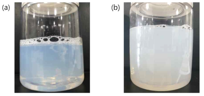 (a) 제형내 석출 (b) 연무 현상 일어난 Bi-layer 제형의 외관 사진