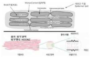 피부 수분량 판정 기준