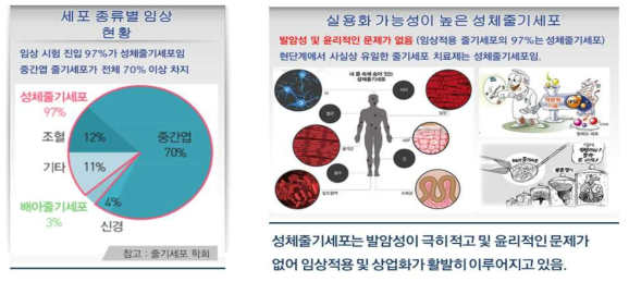 윤리적인 문제가 없고 발암성이 극히 낮아 상업화 가능성이 매우 높은 성체줄기세포>