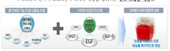 줄기세포 기능 조절 신물질과 성장인자들 조합하여 성체줄기세포 배양액 성분 조합 개발>