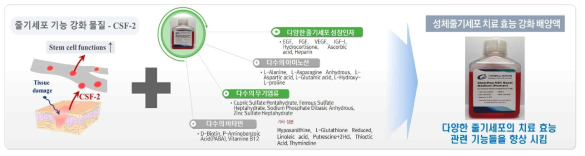 성체줄기세포 치료 효능 강화 체외 배양액 - StemMax MSC Basal Medium >