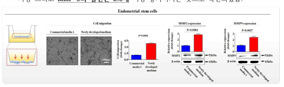개발한 배양액이 기존 제품과 비교해 자궁 유래 줄기세포의 이동에 미치는 영향 평가>