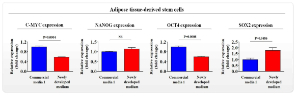 개발한 배양액이 기존 제품과 비교해 지방 줄기세포의 줄기세포성에 미치는 영향 평가>