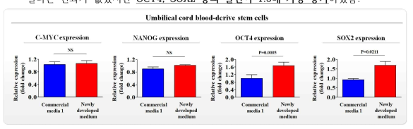 개발한 배양액이 기존 제품과 비교해 제대혈 줄기세포의 줄기세포성에 미치는 영향 평가>