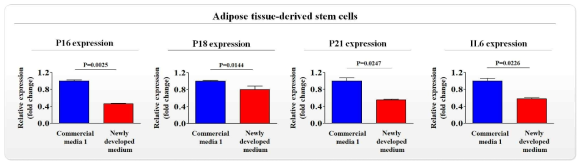 개발한 배양액이 기존 제품과 비교해 지방 줄기세포의 노화 (aging)에 미치는 영향 평가>