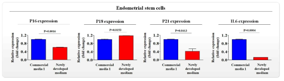 개발한 배양액이 기존 제품과 비교해 자궁 줄기세포의 노화 (aging)에 미치는 영향 평가>
