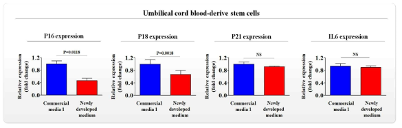 개발한 배양액이 기존 제품과 비교해 제대혈 줄기세포의 노화 (aging)에 미치는 영향 평가>