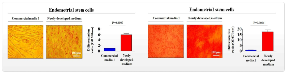 개발한 배양액이 기존 제품과 비교해 자궁 줄기세포의 분화 능력에 미치는 영향 평가>