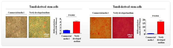 개발한 배양액이 기존 제품과 비교해 편도 줄기세포의 분화 능력에 미치는 영향 평가>